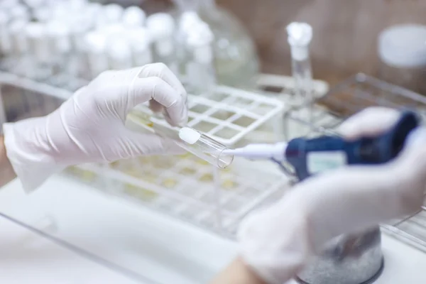 Loading stripe of samples for DNA analysis — Stock Photo, Image