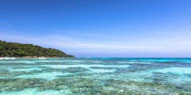 güzel tropik kristal açık deniz, ta chai Adası