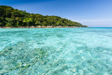 güzel tropik kristal açık deniz, ta chai Adası
