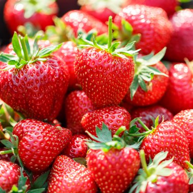 sepet içinde kırmızı sulu taze çilek portre