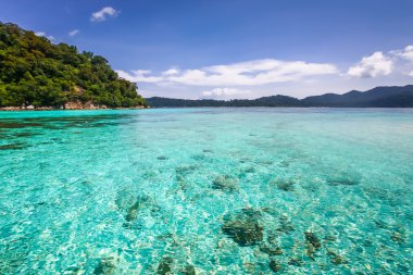 Güzel Denizi ve beyaz kum plaj