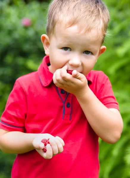 Kleiner Junge isst Himbeere — Stockfoto