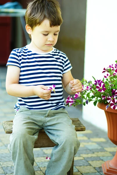 Little boy with flowers — Stock Photo, Image