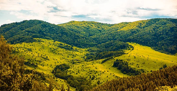 Панорама зеленых холмов в летний солнечный день. Красивый вид на горы, покрытые зеленью на фоне облаков. Деревенская дорога, ведущая в горы и лес Стоковая Картинка