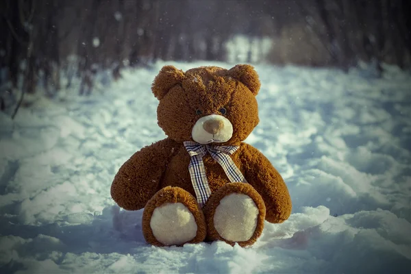 Teddy Bear — Stock Photo, Image