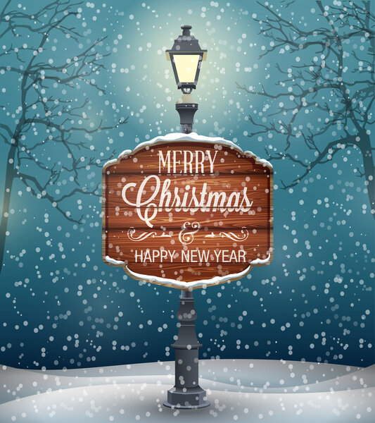 Night landscape with snow flakes