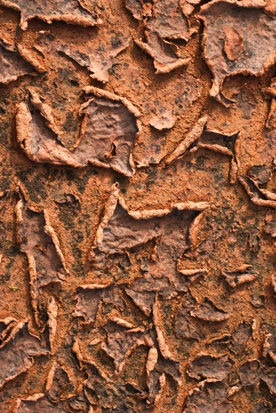 Brusten mark — Stockfoto