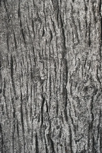 Tekstury drewna cementu — Zdjęcie stockowe