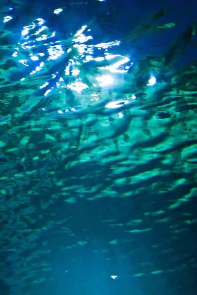 Acquario — Foto Stock