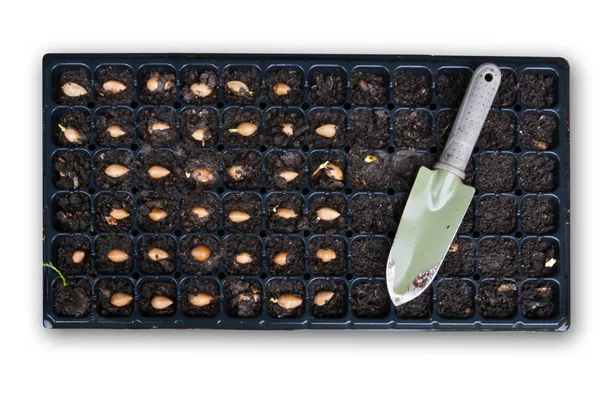 Planting tray — Stock Photo, Image