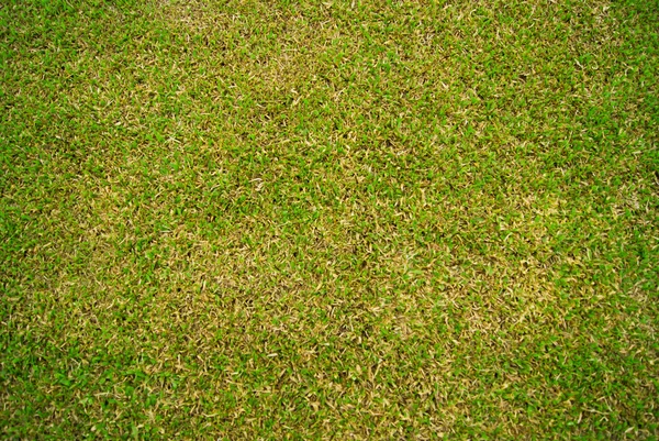 Gras voetbalveld — Stockfoto