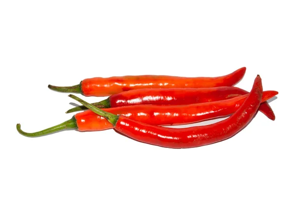 Röd paprika — Stockfoto