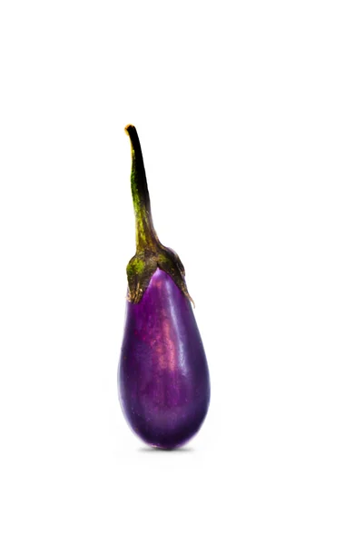 Eggplant — Stock Photo, Image