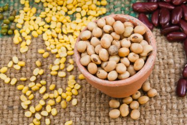 tahıllar, soya fasulyesi