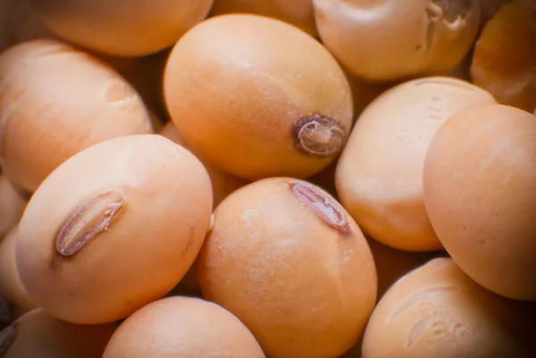 Soybeans — Stock Photo, Image