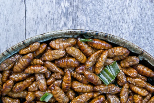 Gusanos de seda fritos — Foto de Stock