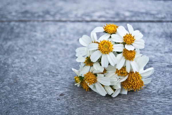 Een kleine boeket van wit margrieten op een houten vloer. — Stockfoto