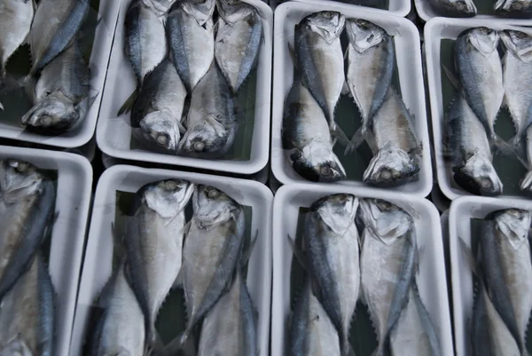 Peixes de sarda no mercado — Fotografia de Stock