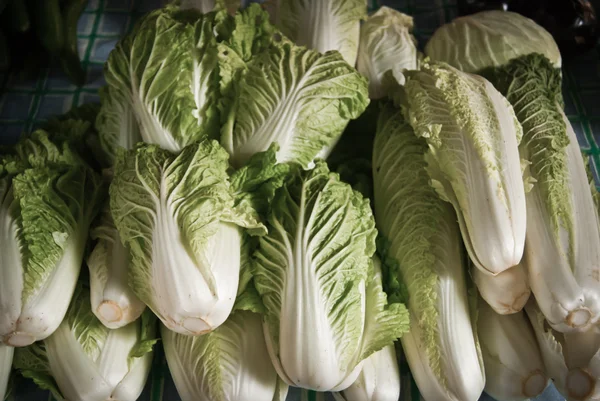 Lettuce in market — Stock Photo, Image