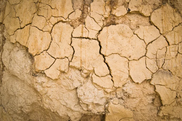 Tierra seca — Foto de Stock