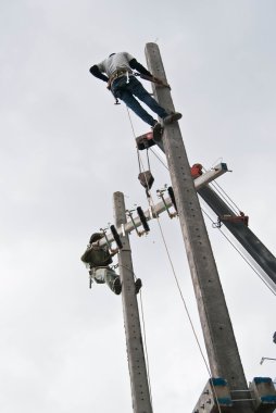 Elektrik direğinden kadar