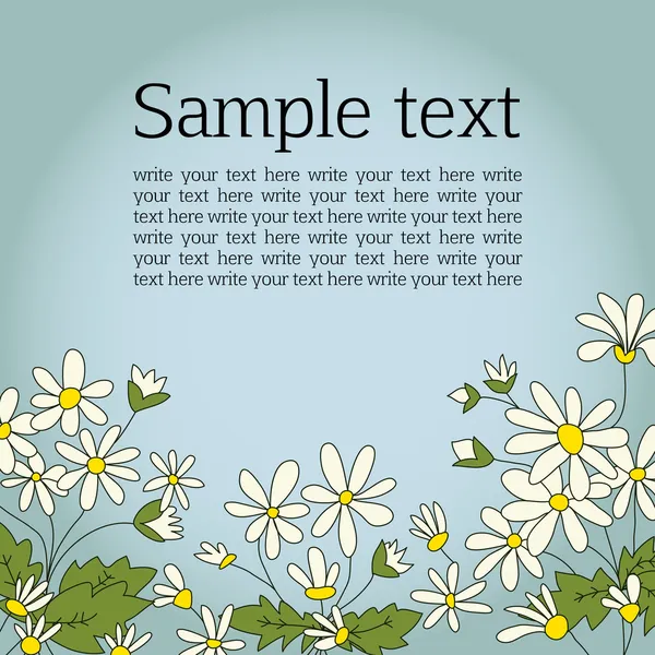 Carte avec l'image de marguerites camomille. Vignette pour le texte. Fond bleu . — Image vectorielle