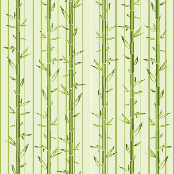 Green bamboo with stripe — Stock Vector