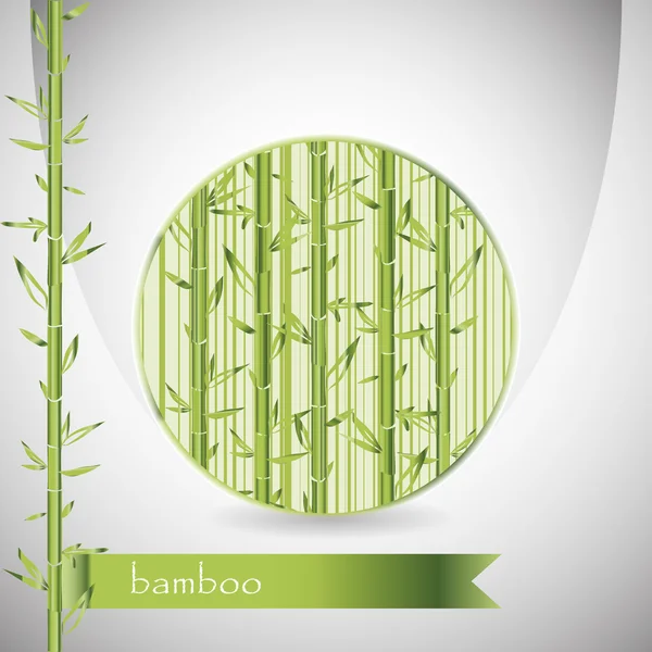 Fond avec du bambou en cercle — Image vectorielle