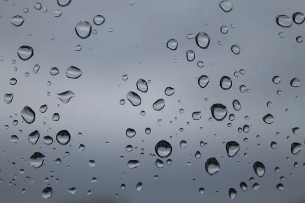Regendruppels op een deelvenster — Stockfoto