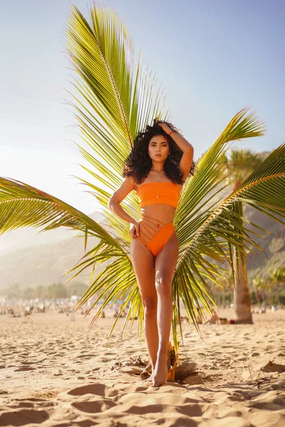 Foto Comprimento Total Atraente Jovem Hispânica Posando Praia Maiô Elegante — Fotografia de Stock