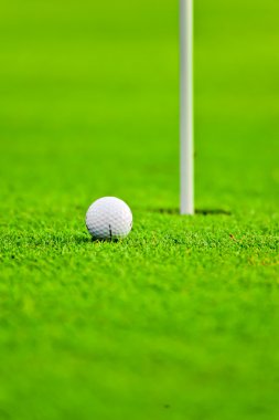 beyaz golf topu deliğe yakın