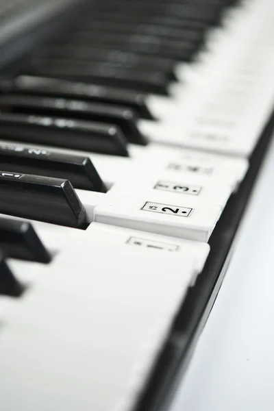 Piano keys closeup — Stock Photo, Image