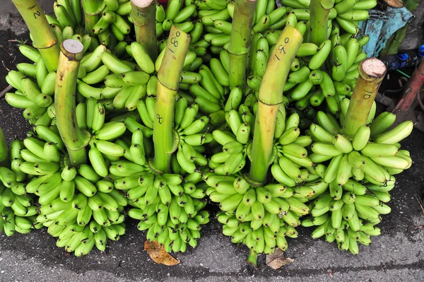 Bund grüne Banane auf dem Boden — Stockfoto