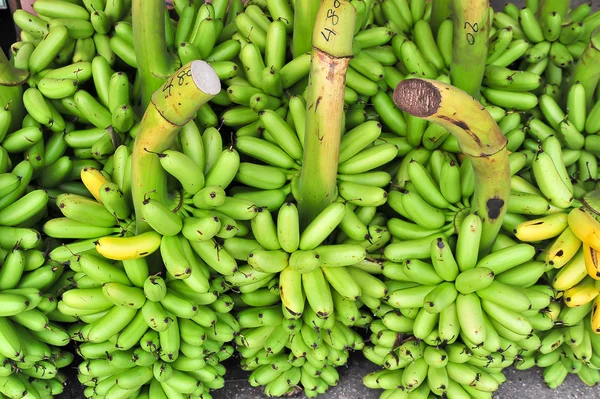 Bando de banana verde no chão no mercado para venda, Tailândia — Fotografia de Stock