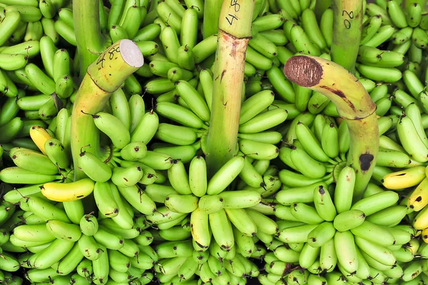 Green banana on floor in market, thailand — Stock Photo, Image