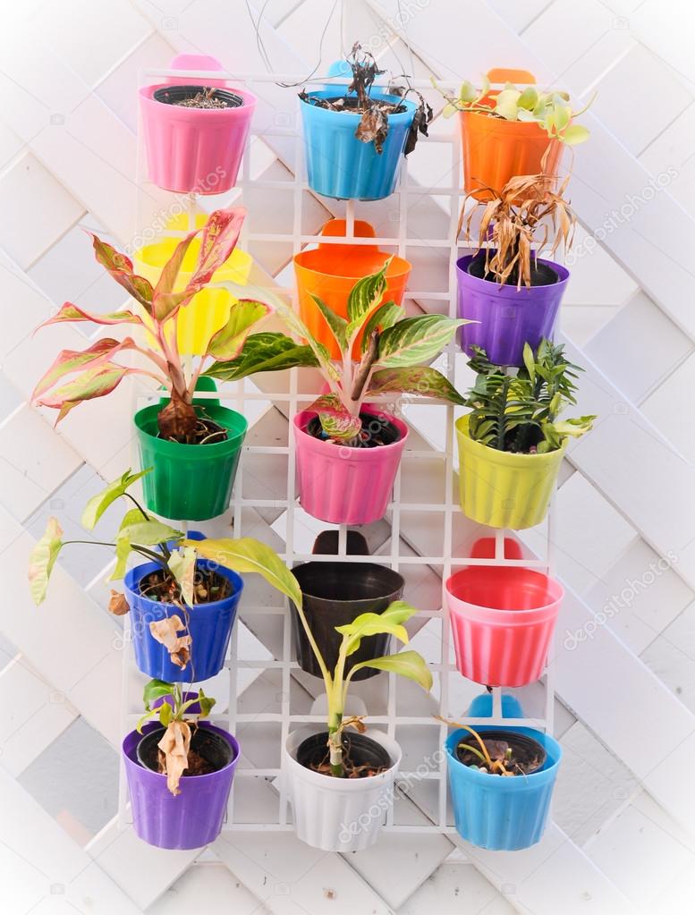 colorful flower pots 