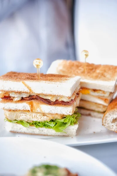 Sándwich de club clásico fresco y delicioso en plato blanco —  Fotos de Stock