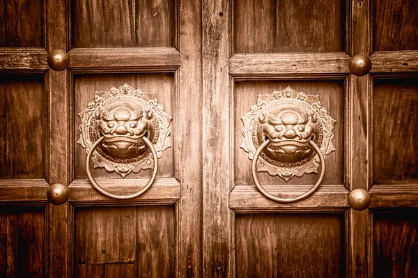 Lion head door knocker with ring in its mouth — Stock Photo, Image