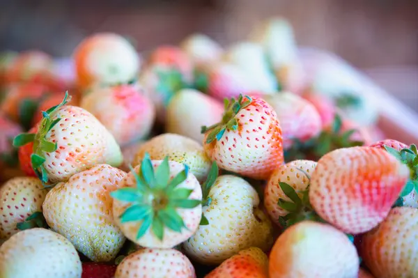 Fragole in un cesto nella fattoria del giardino — Foto Stock