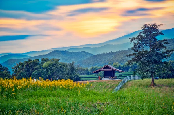 Landscape with small house and Mountain. chaingrai, thailand. — Stock Photo, Image