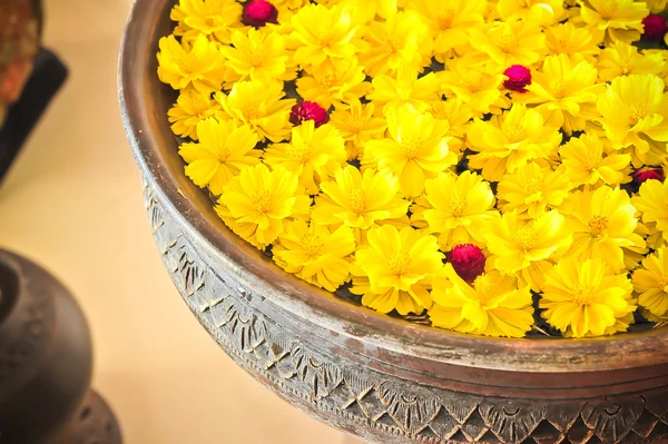 Bunte gelbe Blume, die in der antiken Schale schwimmt — Stockfoto