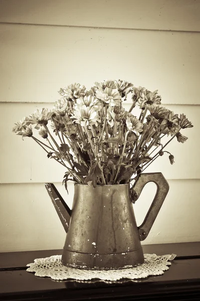 Vazodaki çiçek — Stok fotoğraf