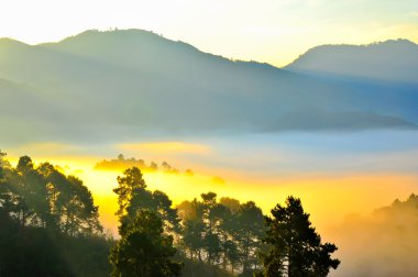 Deniz sis. yüksek dağ görüntüleyin. DOI angkhang Dağı, chi
