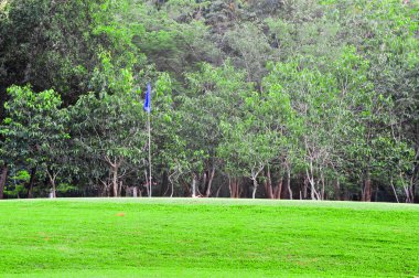 bayrak ve golf alanı 