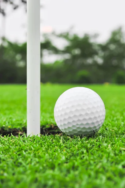 En vit golfboll nära hålet — Stockfoto