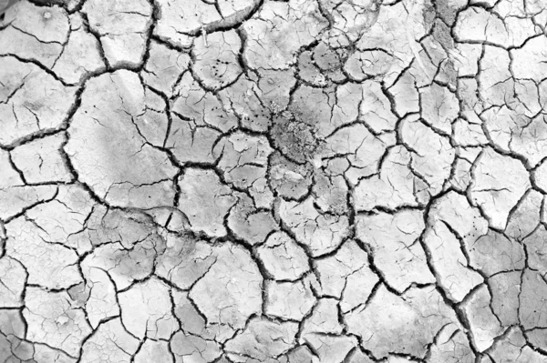 Dry land. Cracked ground background and texture. — Stock Photo, Image