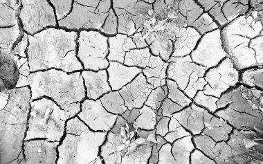 Kara Kuru. kırık yere arka plan ve doku.