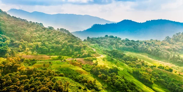 Paysage de montagne avec route et plantation, Chiang rai, Thail — Photo