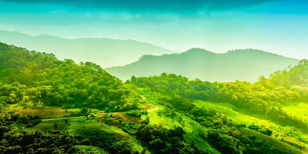 Paisagem de montanha com estrada e plantação, Chiang rai, Thail — Fotografia de Stock