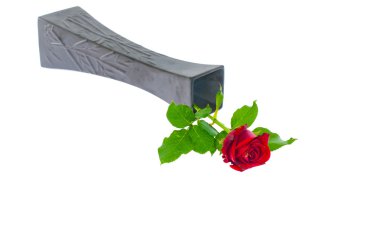 Beyaz arka planda siyah vazo içinde tek kırmızı gül